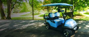 golf carts Anna Maria Island